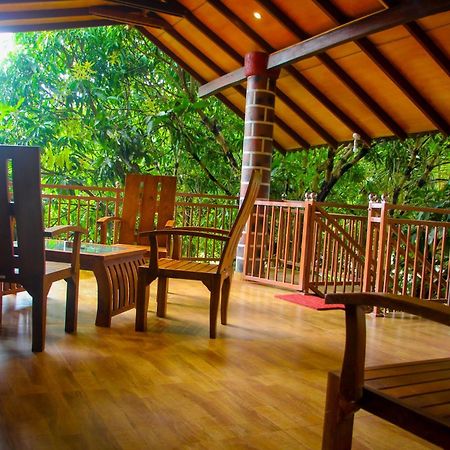 Sigiriya Peacock Homestay 외부 사진