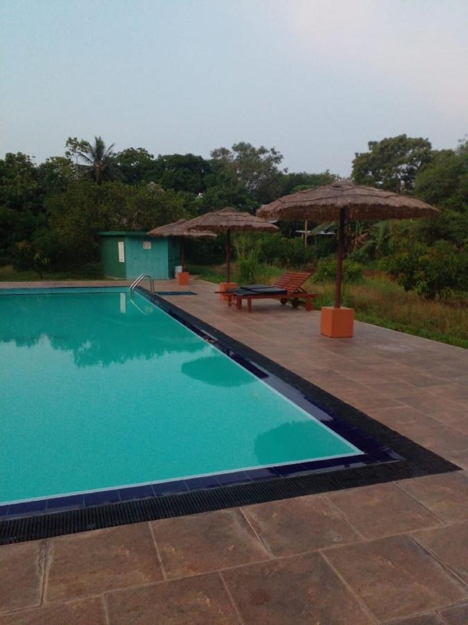 Sigiriya Peacock Homestay 외부 사진