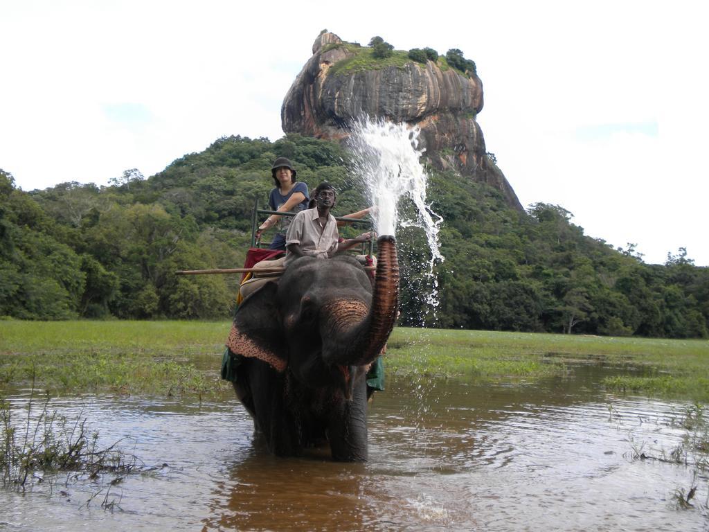 Sigiriya Peacock Homestay 외부 사진